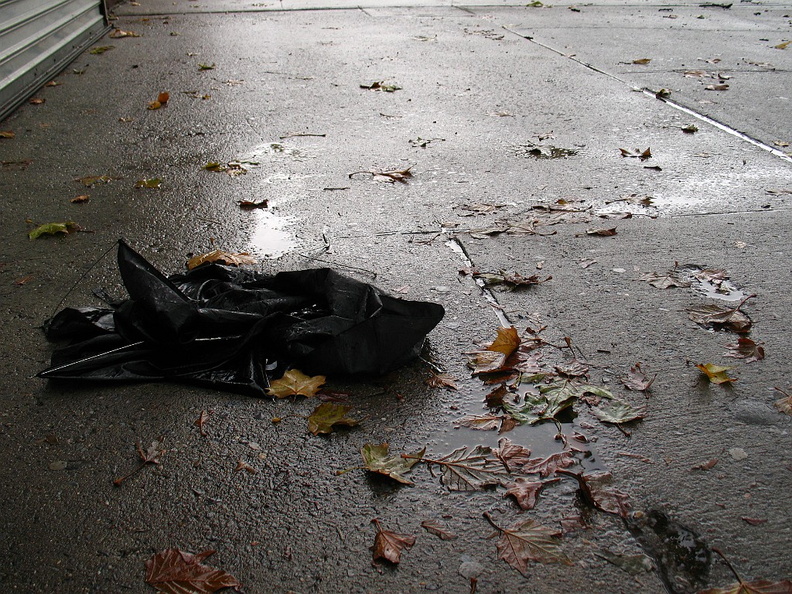 Discarded Umbrella Carcasses, NYC