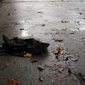 Discarded Umbrella Carcasses, NYC