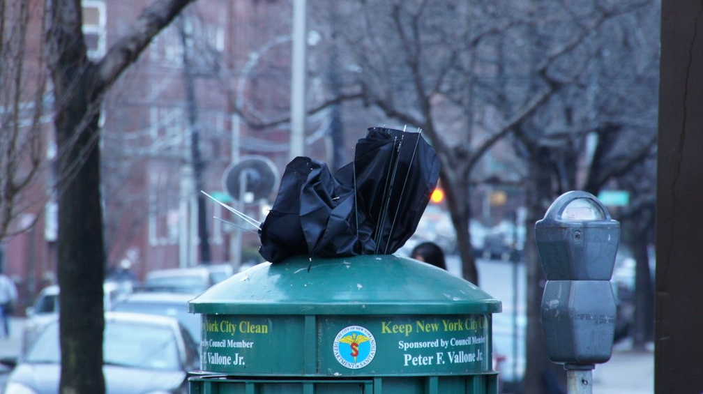 Discarded Umbrella Carcasses, NYC