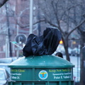 Discarded Umbrella Carcasses, NYC