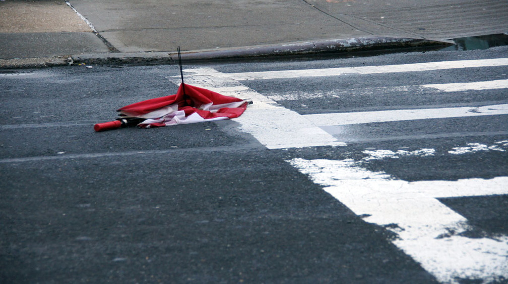 Discarded Umbrella Carcasses, NYC