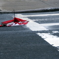 Discarded Umbrella Carcasses, NYC