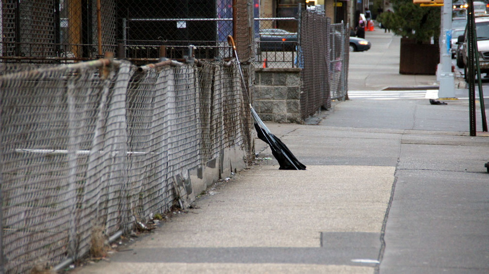 Discarded Umbrella Carcasses, NYC