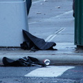 Discarded Umbrella Carcasses, NYC