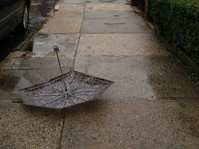 Discarded Umbrella Carcasses, NYC