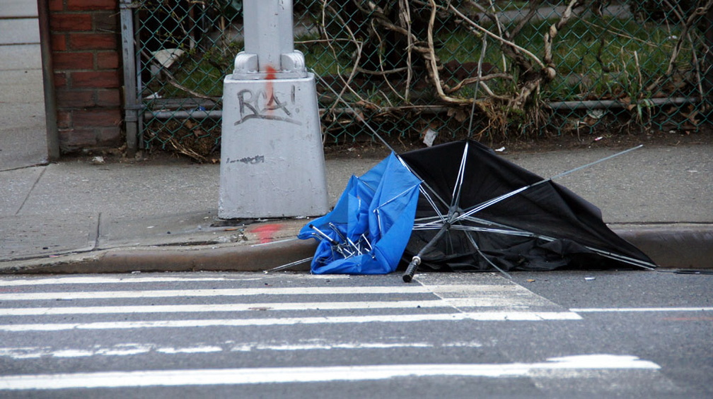 Discarded Umbrella Carcasses, NYC