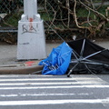 Discarded Umbrella Carcasses, NYC