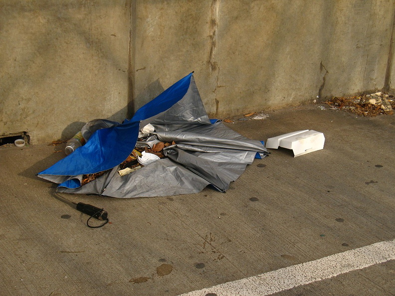 Discarded Umbrella Carcasses, NYC