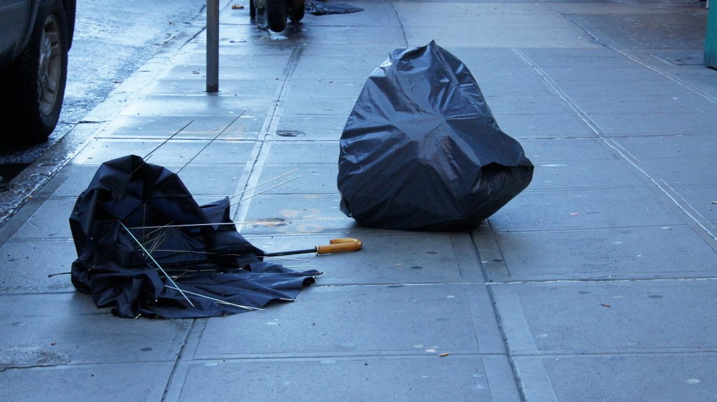 Discarded Umbrella Carcasses, NYC