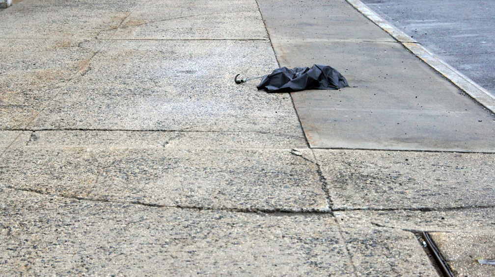 Discarded Umbrella Carcasses, NYC