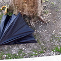 Discarded Umbrella Carcasses, NYC