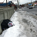 Discarded Umbrella Carcasses, NYC