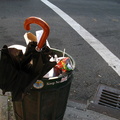 Discarded Umbrella Carcasses, NYC