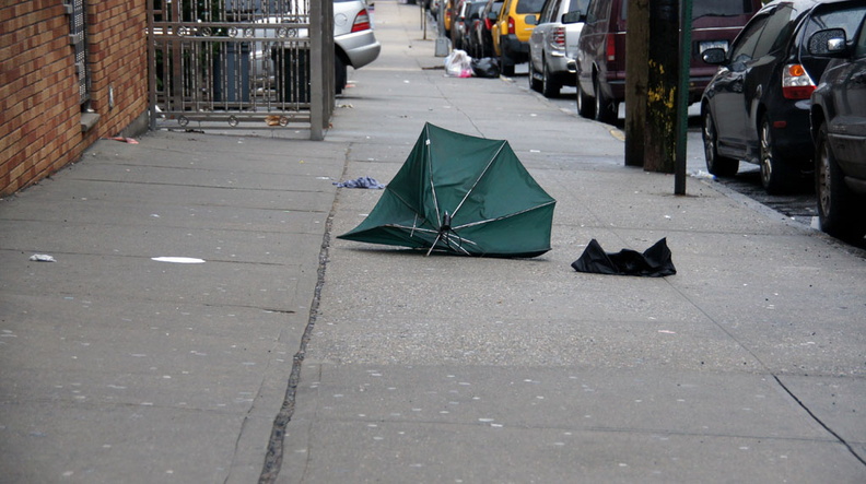 Discarded Umbrella Carcasses, NYC