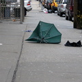 Discarded Umbrella Carcasses, NYC