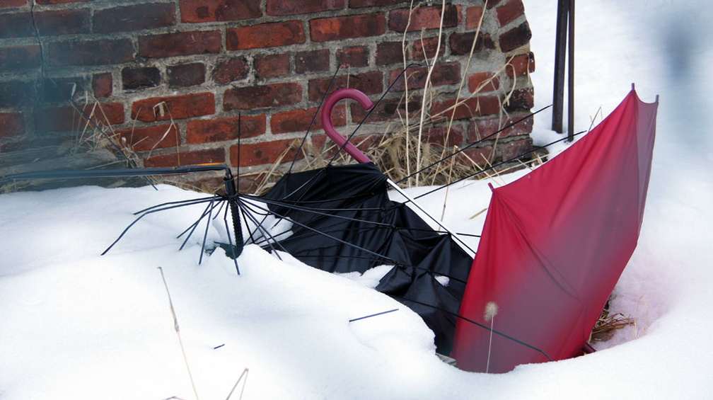 Discarded Umbrella Carcasses, NYC