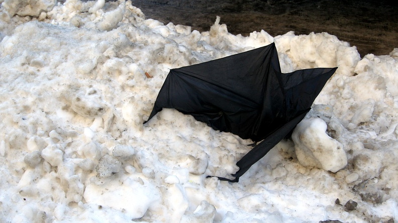 Discarded Umbrella Carcasses, NYC