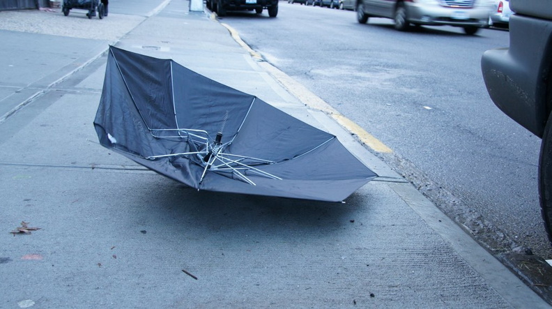 Discarded Umbrella Carcasses, NYC