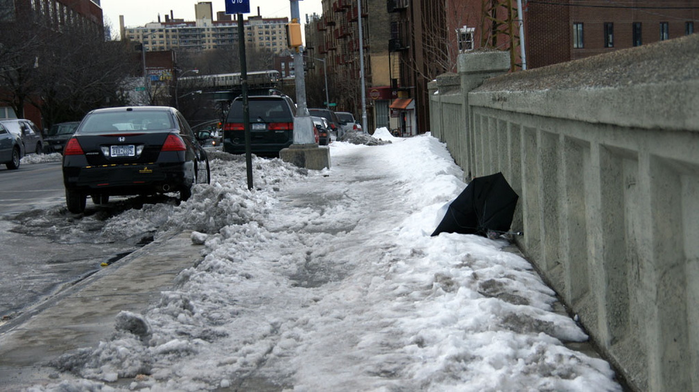 Discarded Umbrella Carcasses, NYC