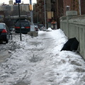 Discarded Umbrella Carcasses, NYC