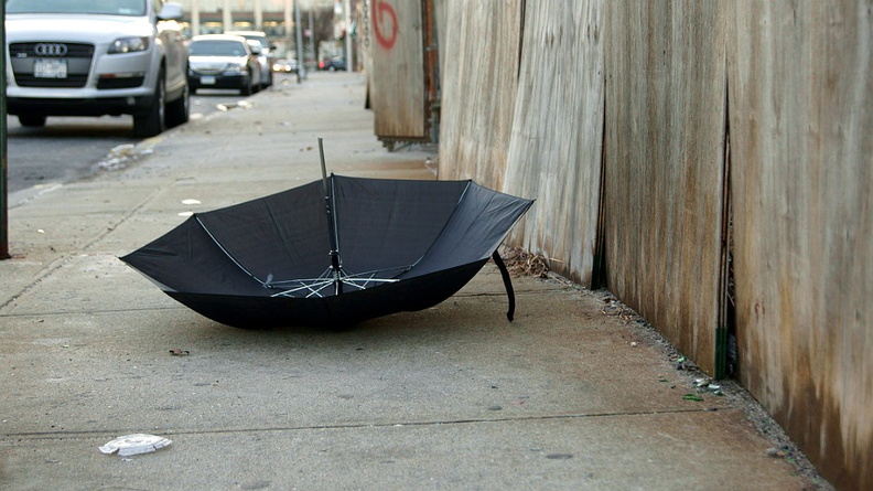 Discarded Umbrella Carcasses, NYC