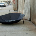 Discarded Umbrella Carcasses, NYC