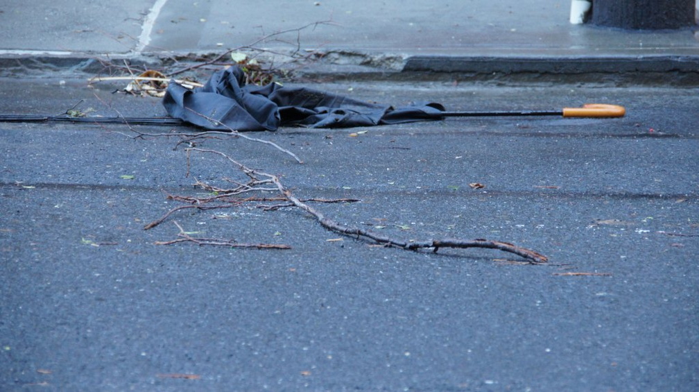 Discarded Umbrella Carcasses, NYC