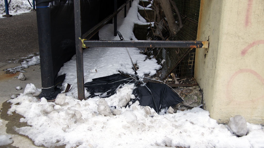 Discarded Umbrella Carcasses, NYC