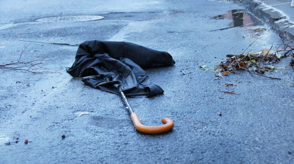 Discarded Umbrella Carcasses, NYC