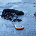 Discarded Umbrella Carcasses, NYC