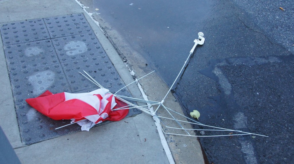 Discarded Umbrella Carcasses, NYC