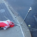 Discarded Umbrella Carcasses, NYC