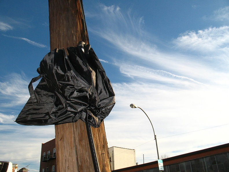 Discarded Umbrella Carcasses, NYC