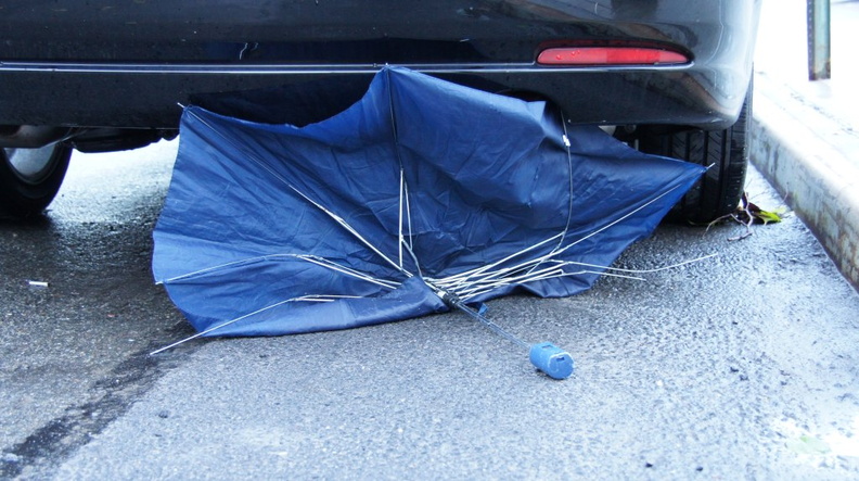 Discarded Umbrella Carcasses, NYC