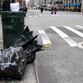 Discarded Umbrella Carcasses, NYC