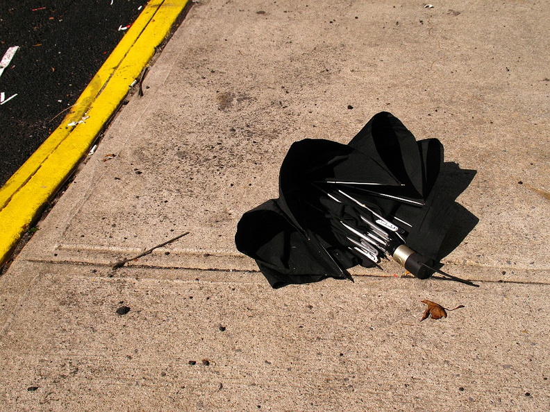 Discarded Umbrella Carcasses, NYC