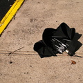 Discarded Umbrella Carcasses, NYC