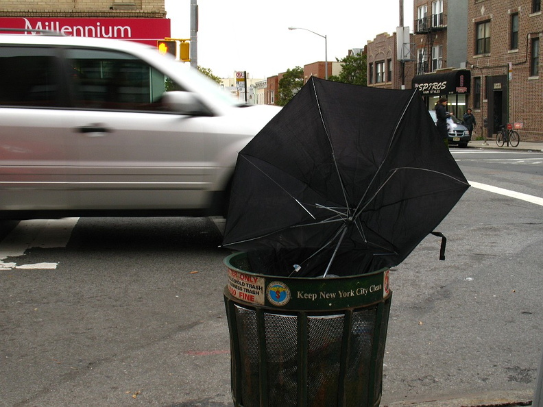 Discarded Umbrella Carcasses, NYC