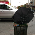 Discarded Umbrella Carcasses, NYC