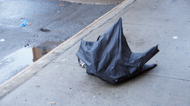 Discarded Umbrella Carcasses, NYC