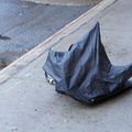 Discarded Umbrella Carcasses, NYC