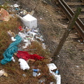 Discarded Umbrella Carcasses, NYC