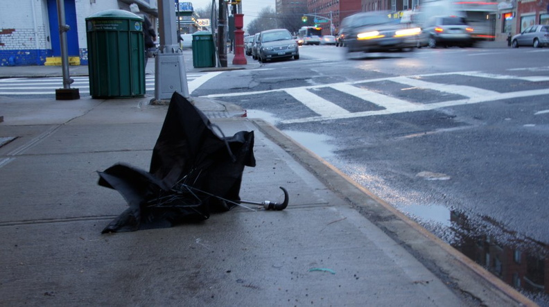 Discarded Umbrella Carcasses, NYC