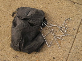 Discarded Umbrella Carcasses, NYC