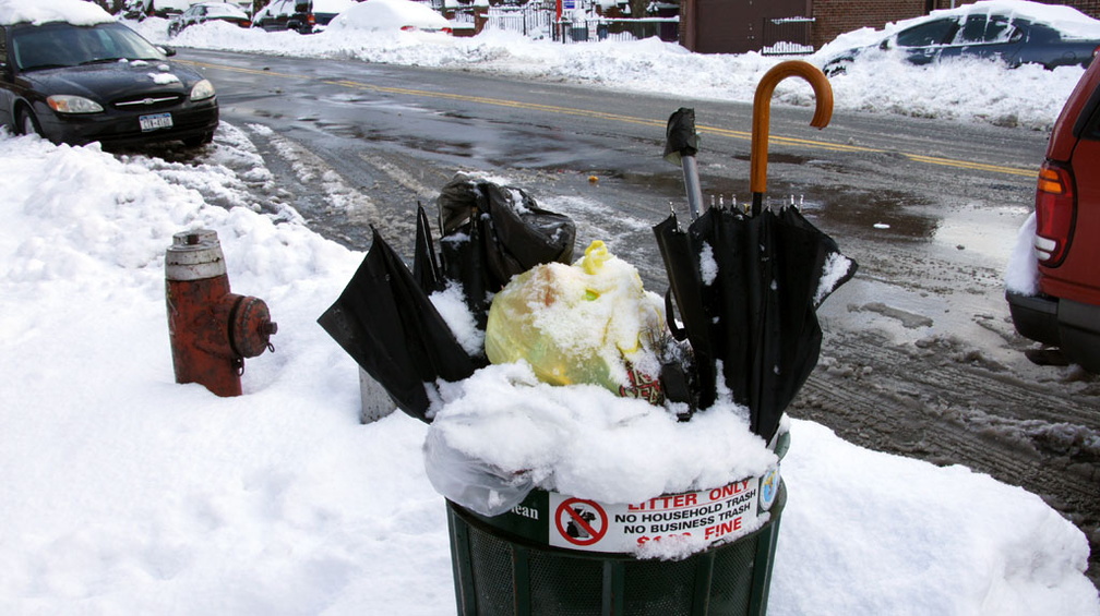 Discarded Umbrella Carcasses, NYC