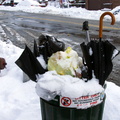 Discarded Umbrella Carcasses, NYC