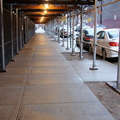 Discarded Umbrella Carcasses, NYC