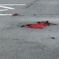 Discarded Umbrella Carcasses, NYC