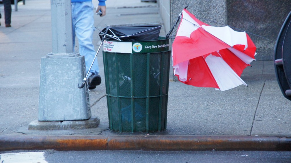 Discarded Umbrella Carcasses, NYC