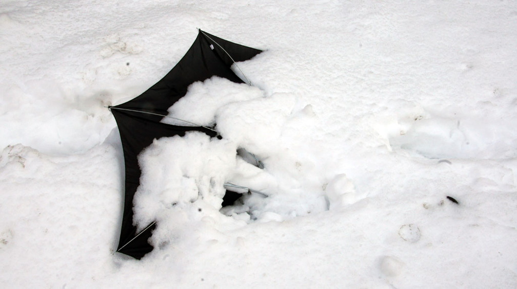 Discarded Umbrella Carcasses, NYC